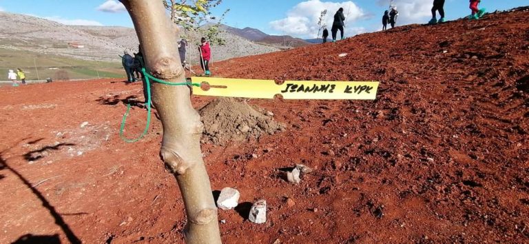 Αμύνταιο: Φύτεψαν 30 δέντρα οι μαθητές στην Τ.Κ. Κέλλης