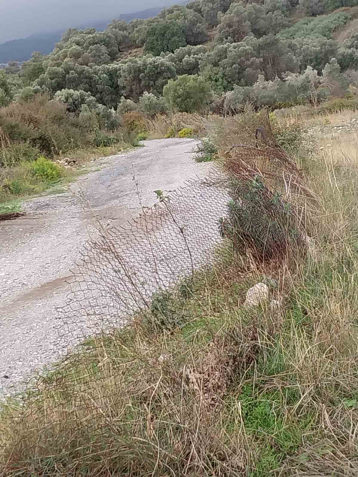 Έκλεψαν πλέγματα και στύλους περίφραξης στη Σχολή Ασωμάτων στο Ρέθυμνο