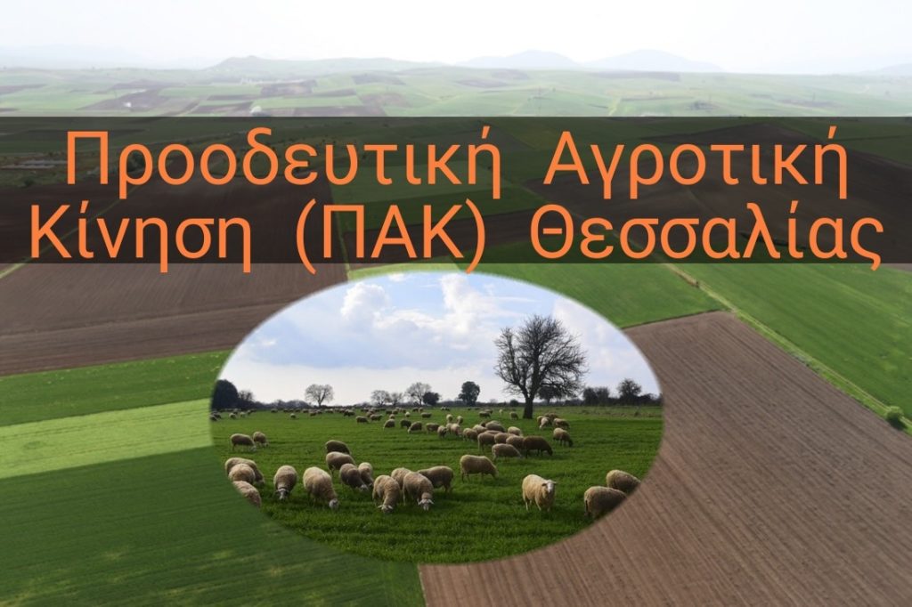 ΠΑΚ Θεσσαλίας: Απώλειες επιδοτήσεων με τη νέα ΚΑΠ για τους Θεσσαλούς αγρότες