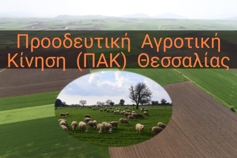 ΠΑΚ Θεσσαλίας: Απώλειες επιδοτήσεων με τη νέα ΚΑΠ για τους Θεσσαλούς αγρότες