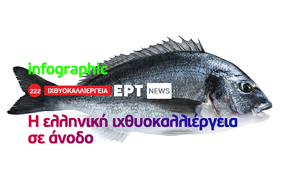 Infographic: Η ελληνική ιχθυοκαλλιέργεια σε άνοδο