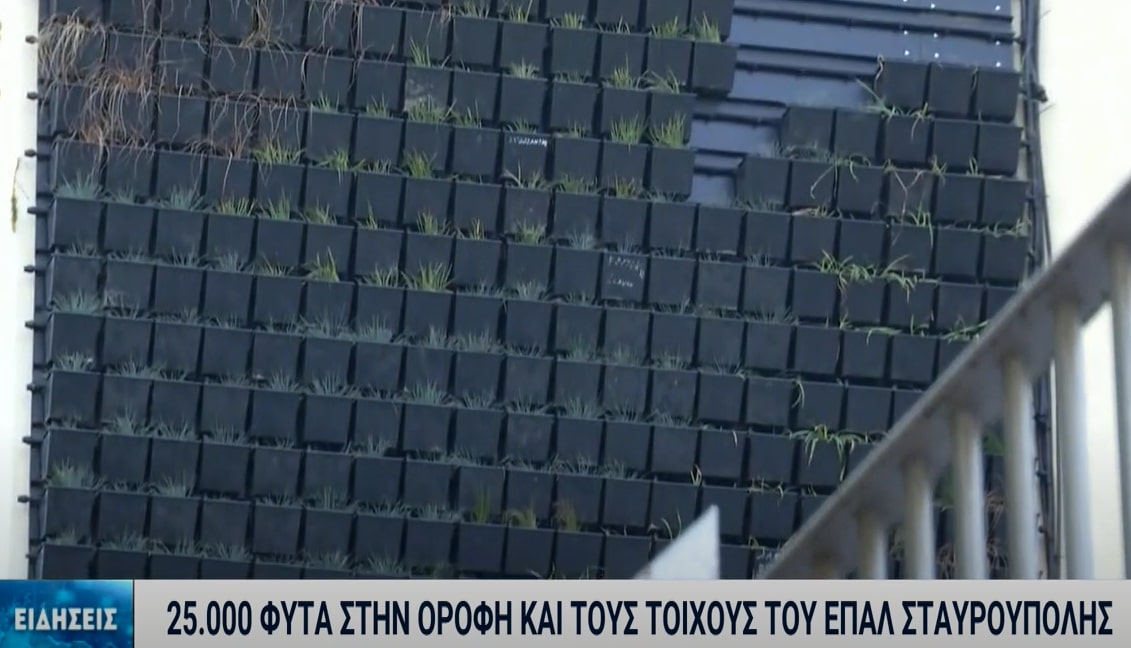 «Πράσινο» το ΕΠΑΛ Σταυρούπολης – Γέμισε φυτά η οροφή του σχολείου