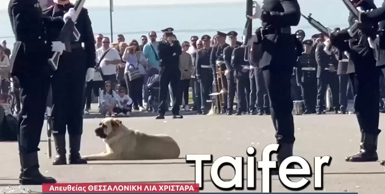 Ο “Τεμπελχανάς” κλέβει την παράσταση σε στρατιωτική επίδειξη στη Θεσσαλονίκη (video)