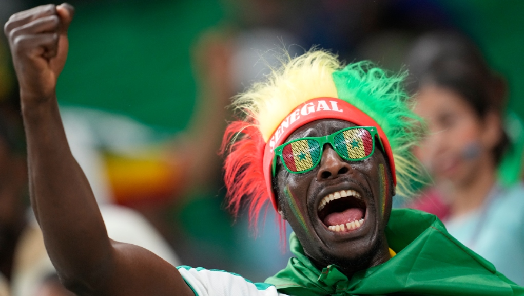 Σενεγάλη – Ολλανδία: Οπαδοί χωρίς εισιτήριο μπήκαν ελεύθερα στο γήπεδο