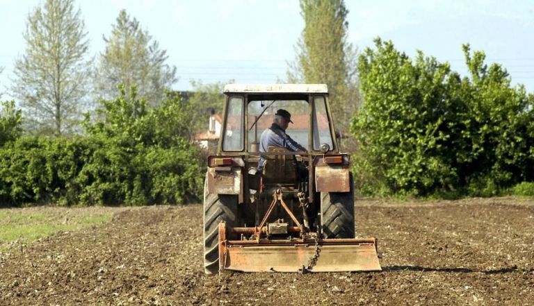Ροδόπη: Μέτρια  παραγωγή και περιορισμένα έσοδα για τους αγρότες της Γρατινής