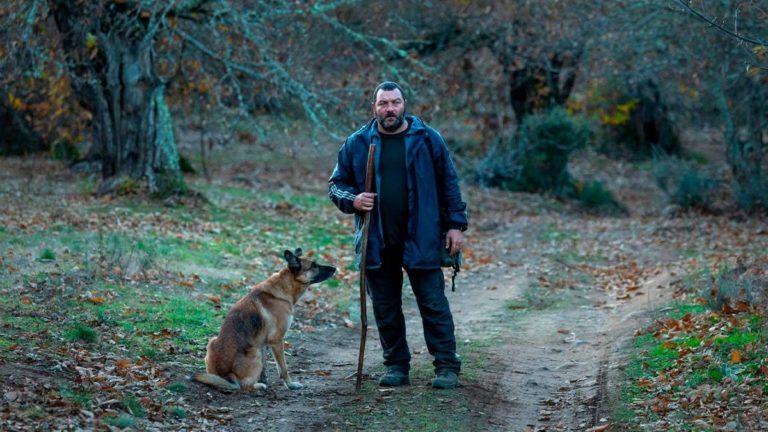 Ένθετο Σινεμά: Τα «καλύτερα» των κινηματογραφικών φεστιβάλ από το Τόκιο μέχρι τη Θεσσαλονίκη