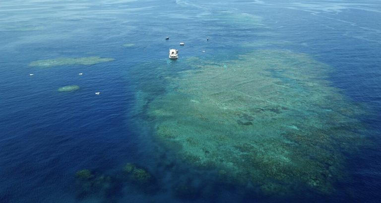 Αυστραλία: “Σε κίνδυνο” ο Μεγάλος Κοραλλιογενής Ύφαλος προειδοποιεί έκθεση προς την UNESCO