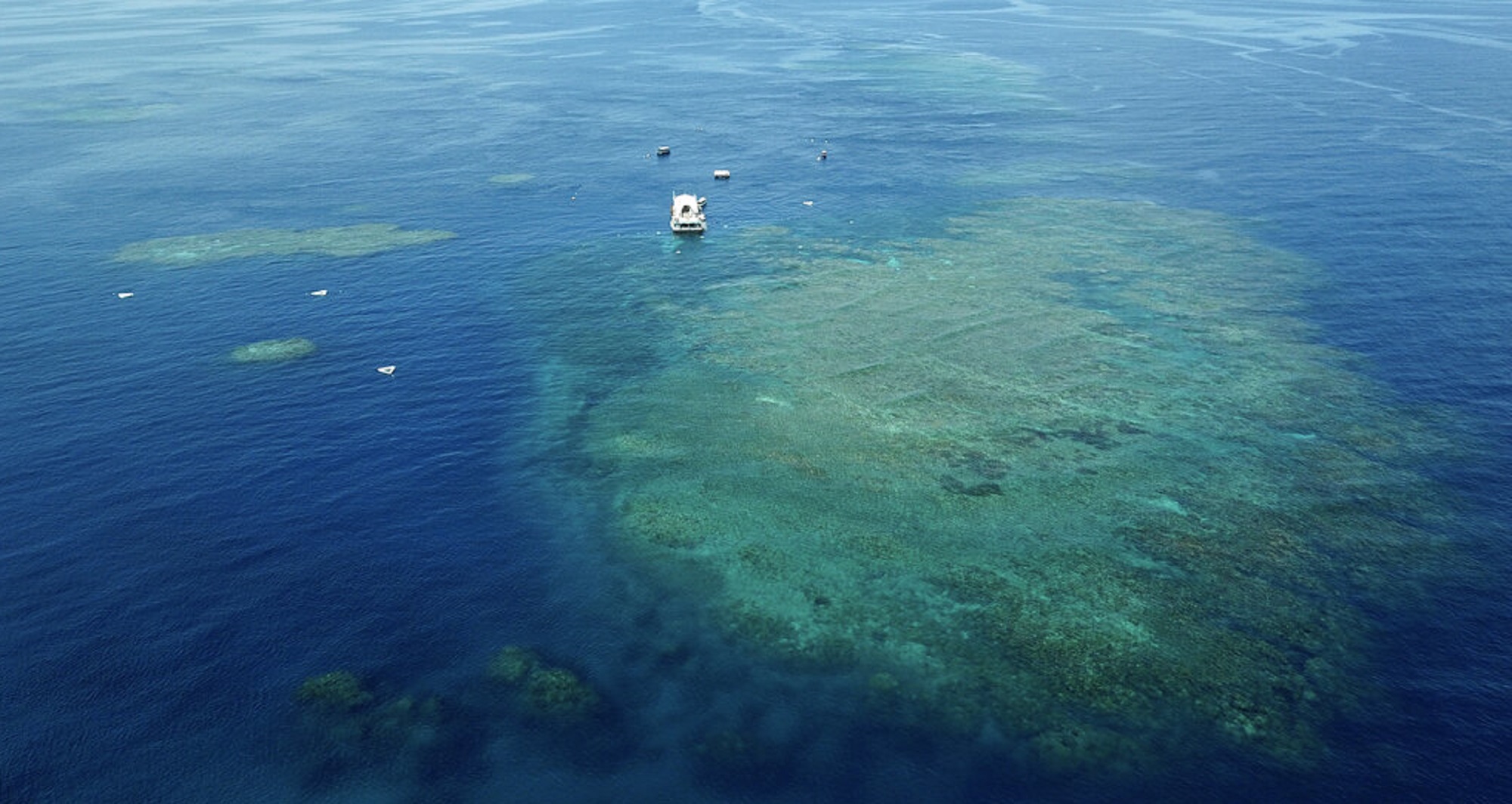 Αυστραλία: “Σε κίνδυνο” ο Μεγάλος Κοραλλιογενής Ύφαλος συνιστά έκθεση προς την UNESCO