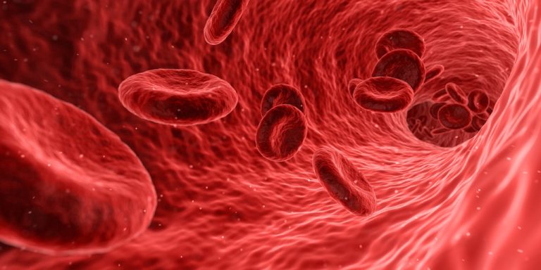 Αίμα που αναπτύχθηκε στο εργαστήριο χορηγείται για πρώτη φορά σε ανθρώπους