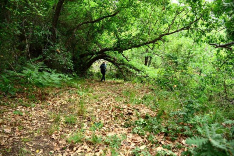 Εξόρμηση ΣΑΟΟ στο μονοπάτι της Βελενιδιάς