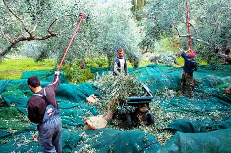 Συνεργασία εργατικών κέντρων Φλώρινας & Ηρακλείου για διάθεση θέσεων εργασίας