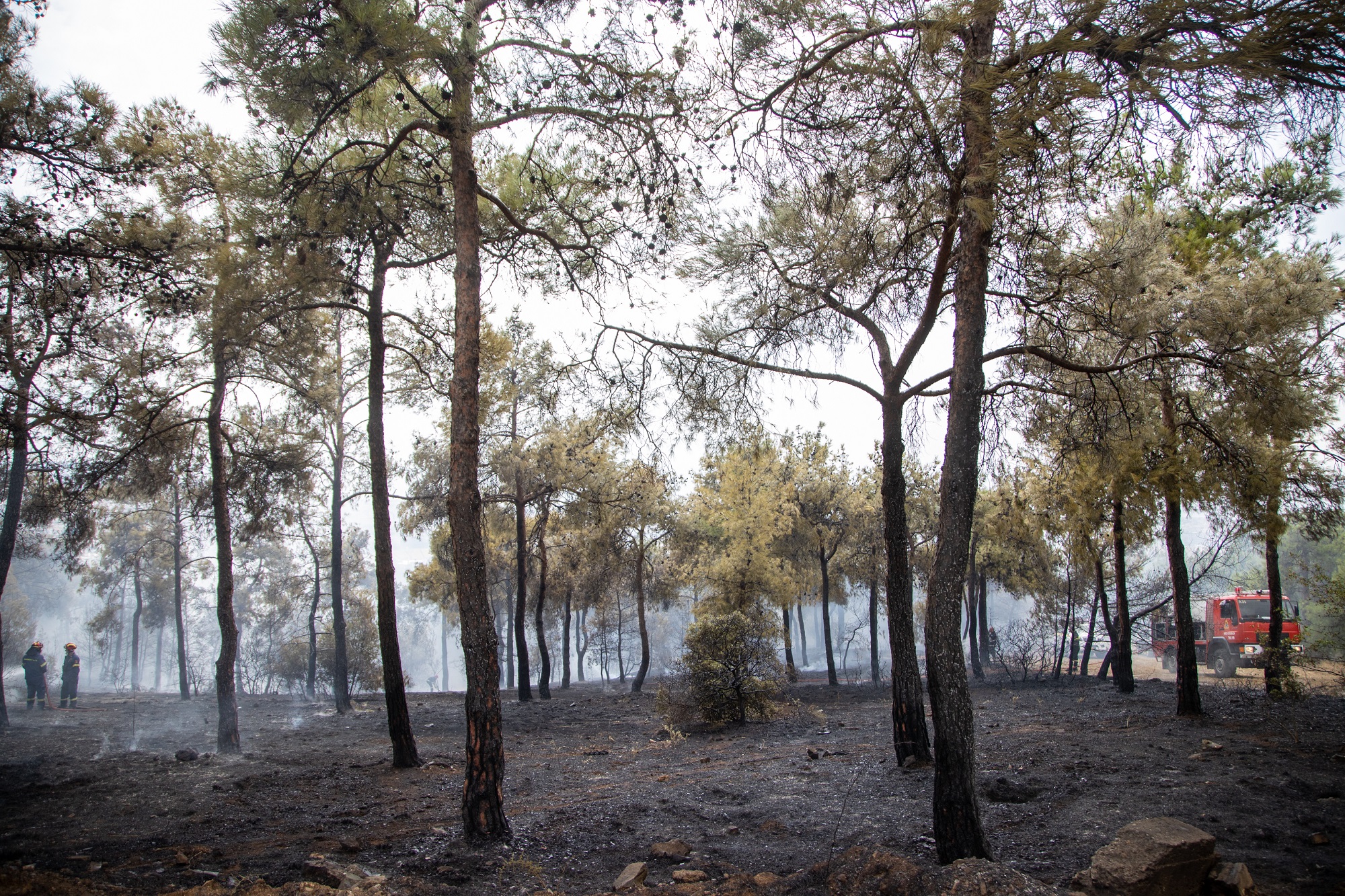 Αναβάλλεται η εκδήλωση για τη λήξη της αντιπυρικής περιόδου λόγω της κακοκαιρίας «EVA»