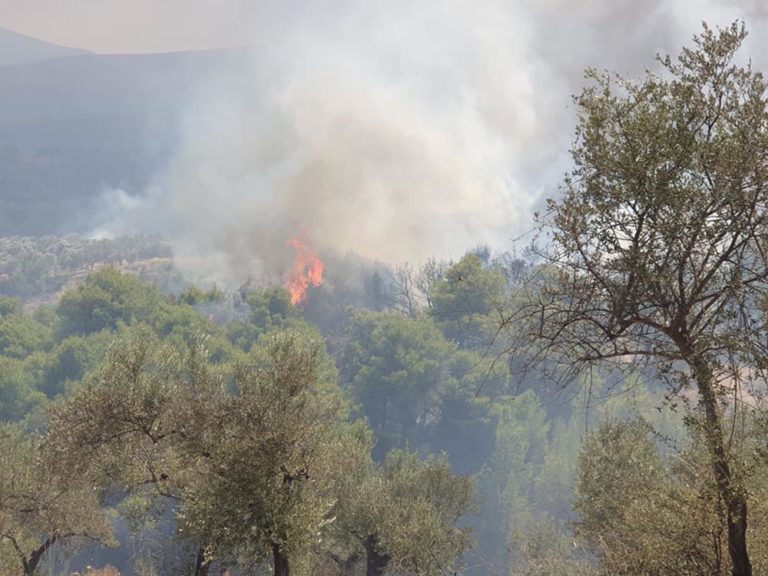 Τέθηκε υπό έλεγχο η πυρκαγιά στο Ξηροχώρι Ζαχάρως