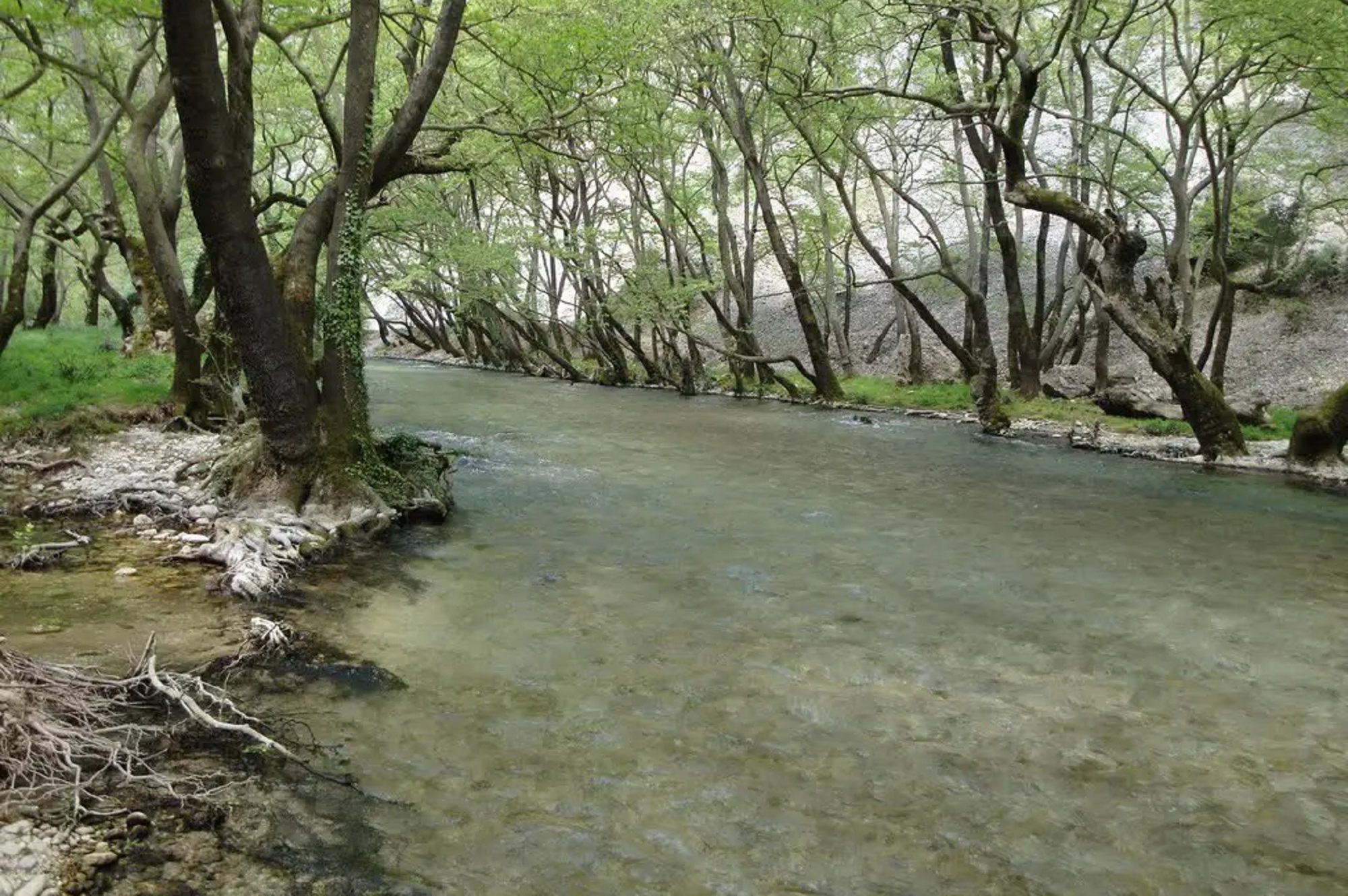 Λούρος: Επιτόπια διερεύνηση των αιτιών διακοπής της ροής των νερών του ποταμού – Τι έδειξαν οι αυτοψίες