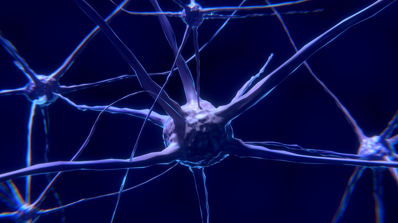 Εντοπίστηκαν νευρώνες που αποκαθιστούν το βάδισμα στους παράλυτους