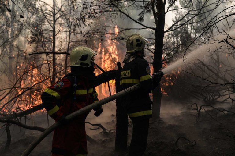 Ηλεία: Πυρκαγιά σε δασική έκταση στην περιοχή Ανάληψη