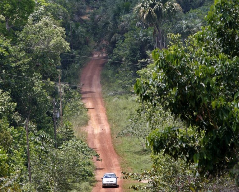 Βραζιλία: Συνασπισμός με Λ.Δ.Κονγκό και Ινδονησία  για τη διάσωση των τροπικών δασών