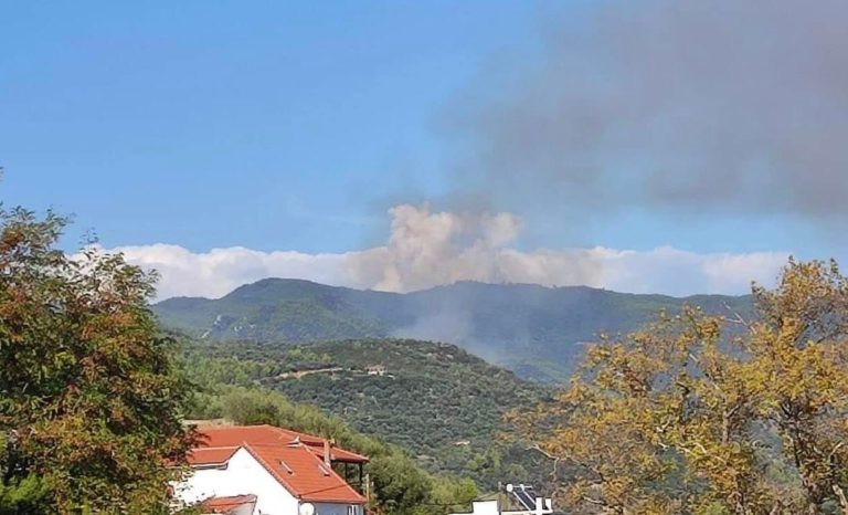 Πύργος: Νεκρή με εγκαύματα 77χρονη σε σημείο που είχε ξασπάσει πυρκαγιά – Δασική έκταση καίει η φωτιά στο Ξηροχώρι