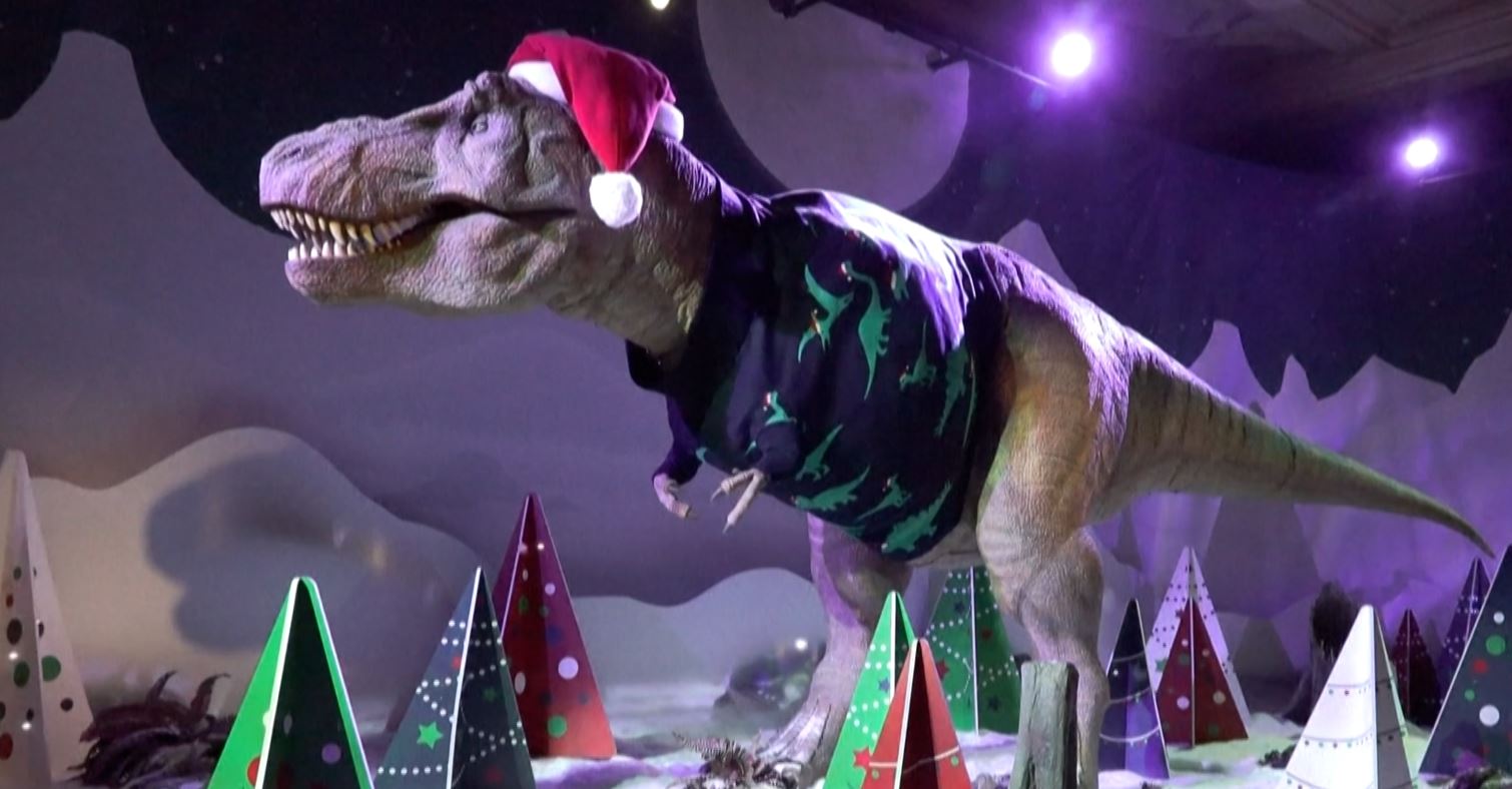 Ο Τυραννόσαυρος Ρεξ του Μουσείου Φυσικής Ιστορίας του Λονδίνου ντύθηκε στα Χριστουγεννιάτικα (video)