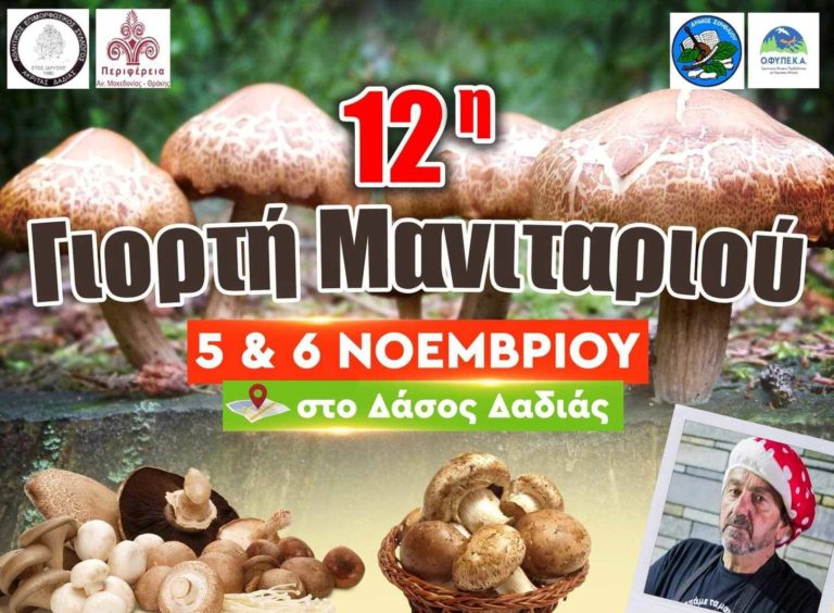 Ξεκινά στη Δαδιά η 12η Γιορτή Μανιταριού