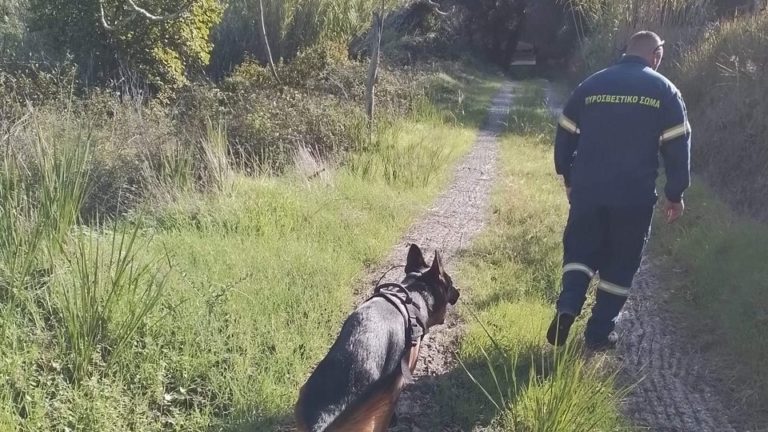 Θεσπρωτία: Αγνοείται 44χρονος κτηνοτρόφος