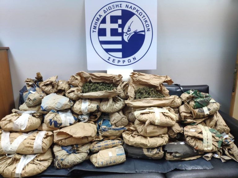 Σέρρες: Εντοπίστηκε αγρόκτημα με 22 κιλά κάνναβης – Συνελήφθη 63χρονος