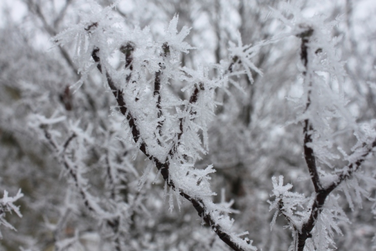 Παγετός στα βόρεια ημιορεινά: Στους -7 βαθμούς Κελσίου στο Νευροκόπι η χαμηλότερη θερμοκρασία