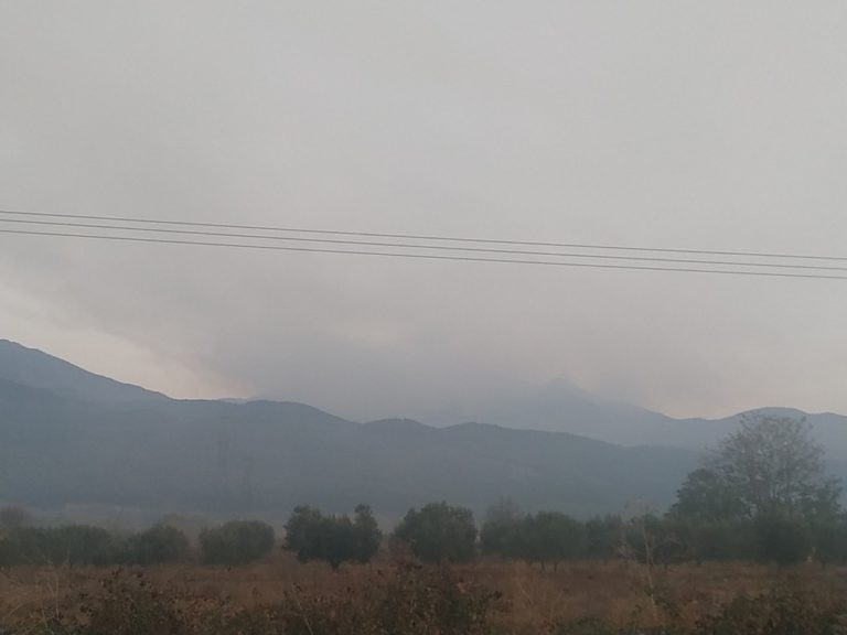 Έχει ελεγχθεί το μεγαλύτερο μέρος της περιμέτρου της φωτιάς στο Παπίκιο όρος
