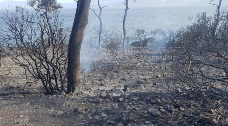 Σύμβαση για έργα στην πυρόπληκτη νοτιοδυτική Γορτυνία