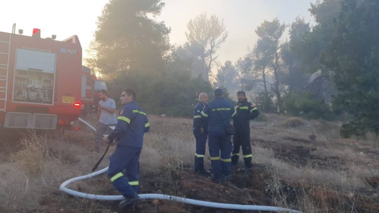 Φωτιά σε δασική έκταση στον Κάλαμο Αττικής