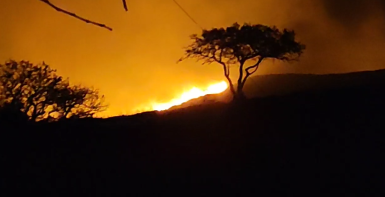 Κορινθία: Πυρκαγιά σε δασική έκταση στο Δερβένι
