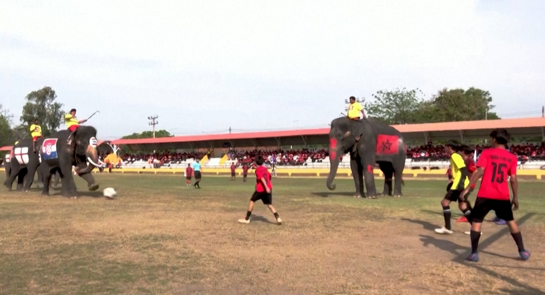 Ταϊλάνδη: Ελέφαντες απέναντι σε παιδιά σε ένα δικό τους «Παγκόσμιο Κύπελλο» (video)