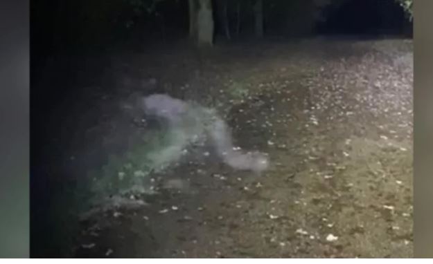 Βρετανία: Περιπατητές κατέγραψαν απόκοσμη φιγούρα σε «στοιχειωμένο» δάσος – Viral το βίντεο με την “Grey Lady”