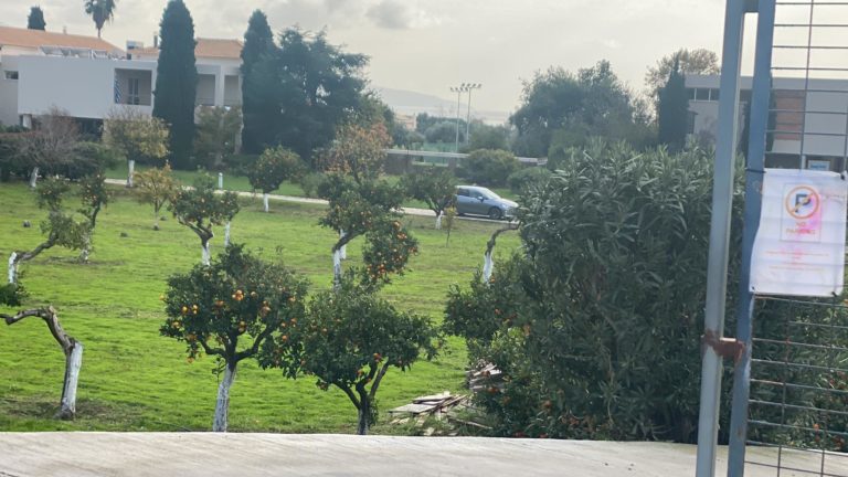 Στην δομή της “Κιβωτού του Κόσμου” στην Καλαμάτα μέλη του νέου Διοικητικού Συμβουλίου (video)