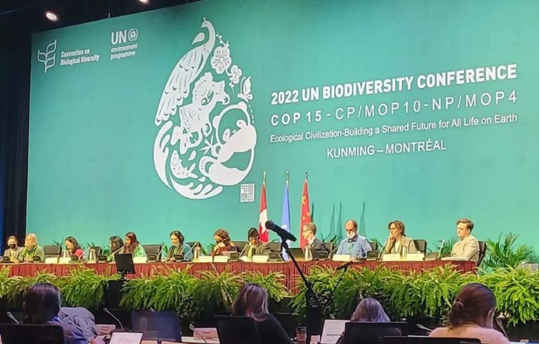 Μόντρεαλ: Η Ελλάδα στη Διάσκεψη COP-15 για την προστασία της βιοποικιλότητας
