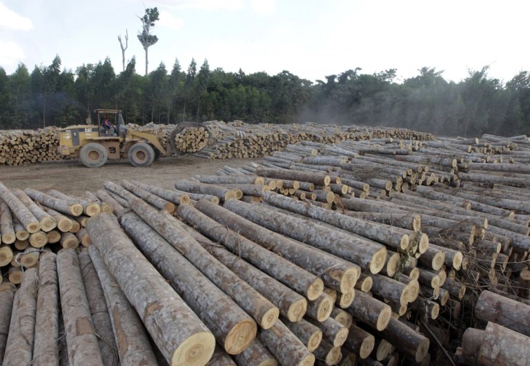 Κομισιόν: Οριστικοποιείται, εν μέσω διαφορών, το κείμενο για τις εισαγωγές από αποψιλωμένα δάση