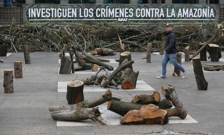 Κολομβία: Απώλειες 86.985 εκταρίων δάσους στο πρώτο ενιάμηνο του 2022