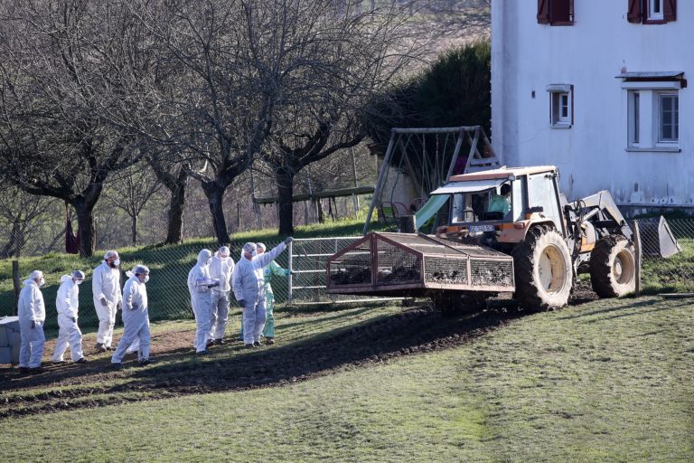 Γαλλία: «Διπλωματία για την υγεία» ζητά από την κυβέρνηση η βιομηχανία πουλερικών-Απαιτεί εμβολιασμό σε όλη την Ε.Ε για την γρίπη