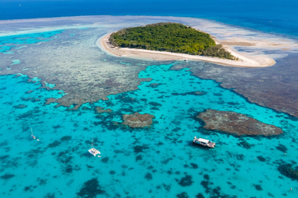 Αυστραλία: Επιστήμονες κατέψυξαν για πρώτη φορά κοράλλια του Μεγάλου Κοραλλιογενούς Υφάλου