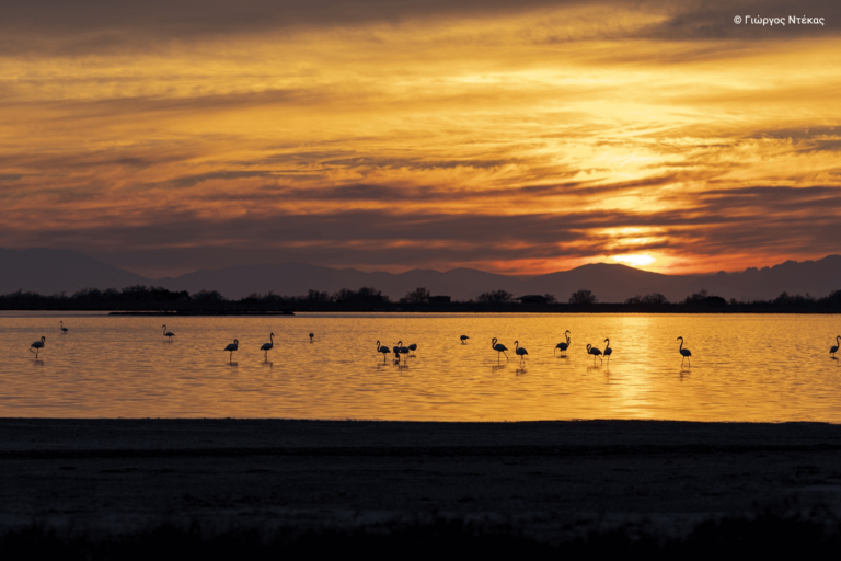 Η σχέση των Ελλήνων με τις περιοχές Natura, όπως καταγράφεται μέσα από νέα έρευνα γνώμης