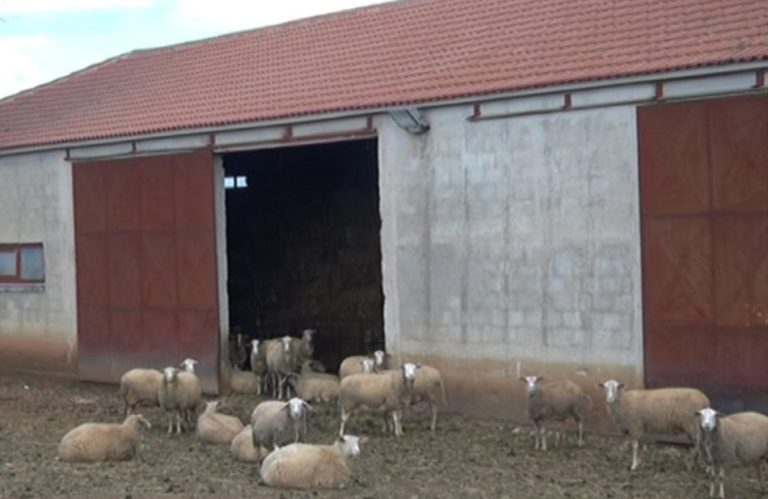 Περιφέρεια Θεσσαλίας: «Πράσινο φως» για ένταξη 44 αρδευτικών-κτηνοτροφικών έργων στο Πρόγραμμα Αγροτικού Εξηλεκτρισμού