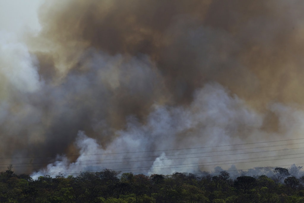 Βραζιλία: Δασική πυρκαγιά στην Κοπακαμπάνα – Δεν έχει αναφερθεί τραυματισμός