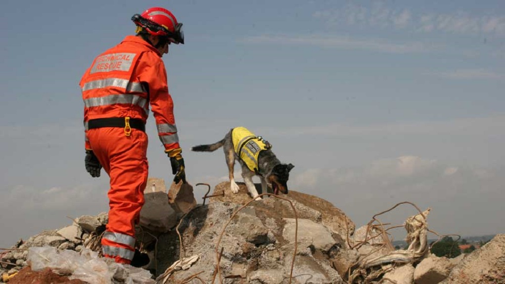 Αυτοκίνητο έπεσε σε γκρεμό στον Παντοκράτορα της Κέρκυρας – Σώοι οι επιβαίνοντες