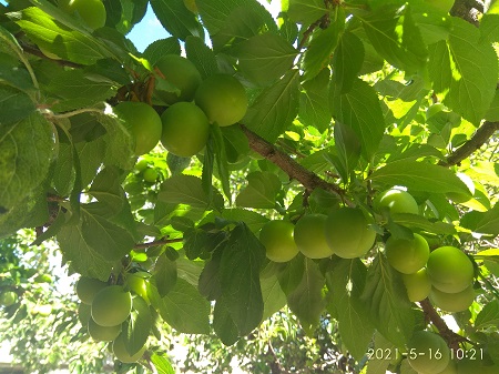 Ξάνθη: Αλλαγή στον Πρωτογενή Τομέα στην περιοχή του Τοπείρου