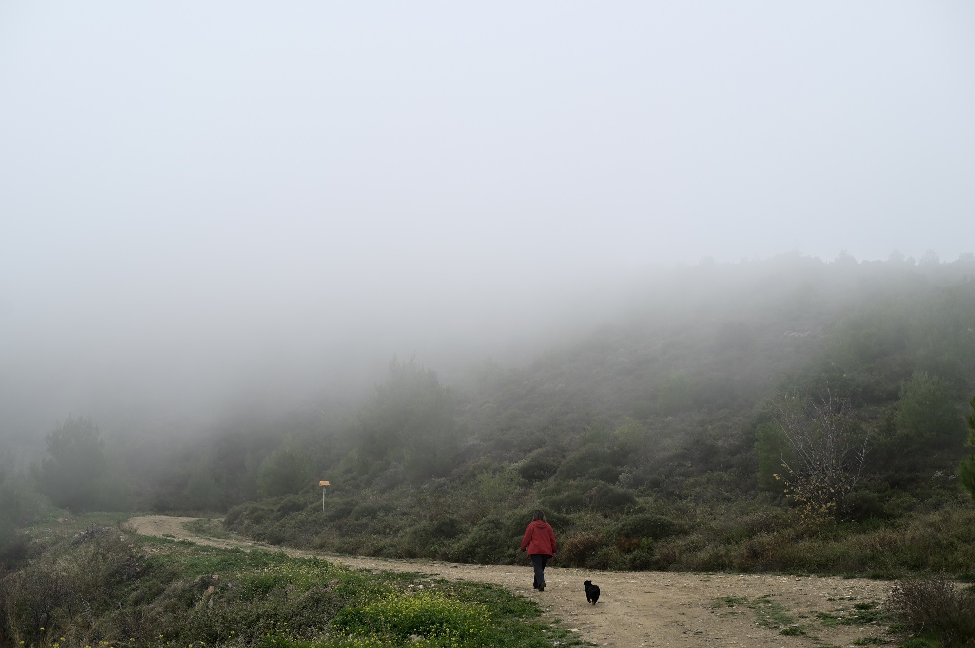 Ο καιρός με τον Π. Γιαννόπουλο: Ομίχλη, πτώση της θερμοκρασίας και ηλιοφάνεια – Τι καιρό θα κάνει την Πρωτοχρονιά
