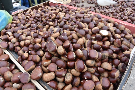 Ροδόπη: Παραγωγοί κάστανου προειδοποιούν για αγορές από πλανόδιους και υπόσχονται συγκράτηση τιμών