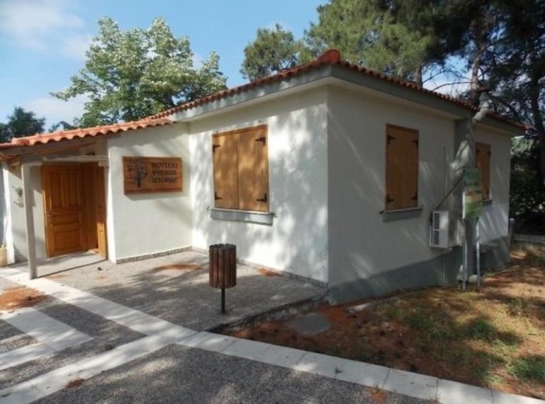 Ροδόπη: Μεγάλη η επισκεψιμότητα στο Μουσείο Φυσικής Ιστορίας