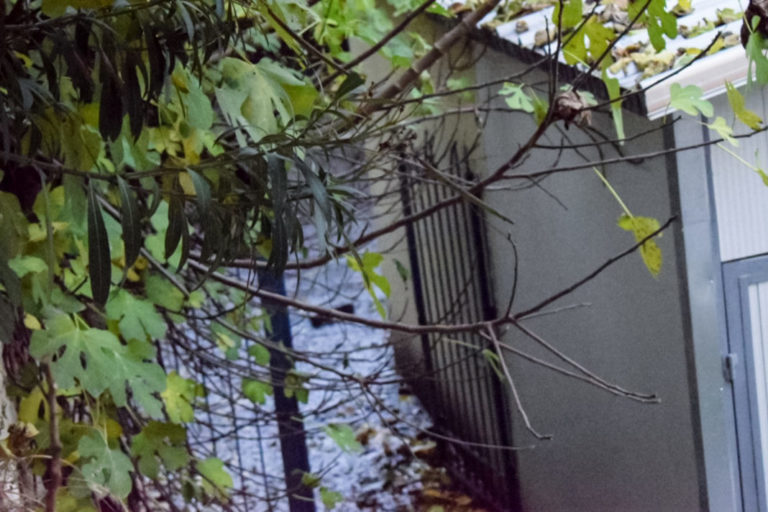 Α. Σταμουλακάτος, εγκαταστάτης θέρμανσης: Ακραίο γεγονός η έκρηξη – Σαφώς και έγιναν παραλείψεις ή αστοχίες (video)