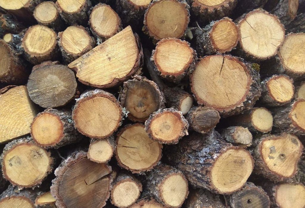 Μεγαλύτερη η ζήτηση φέτος για ξύλα παρά τις προειδοποιήσεις των επιστημόνων
