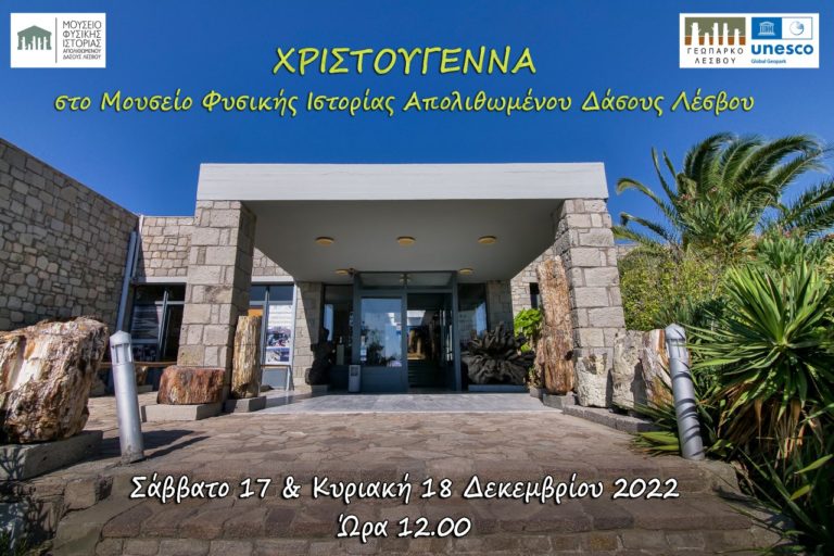 Χριστούγεννα στο Μουσείο Φυσικής Ιστορίας Απολιθωμένου Δάσους Λέσβου